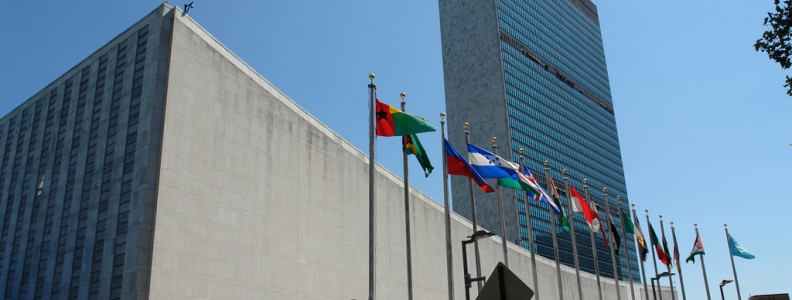CG-Raad: Nederland moet VN-verdrag ratificeren